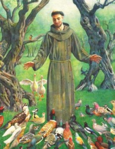 St. Francis of Assissi